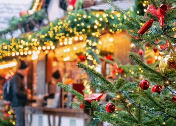 What To Do With Kids This Weekend in the GTA – November 16–17, 2019