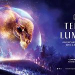 Terra Lumina - Toronto Zoo