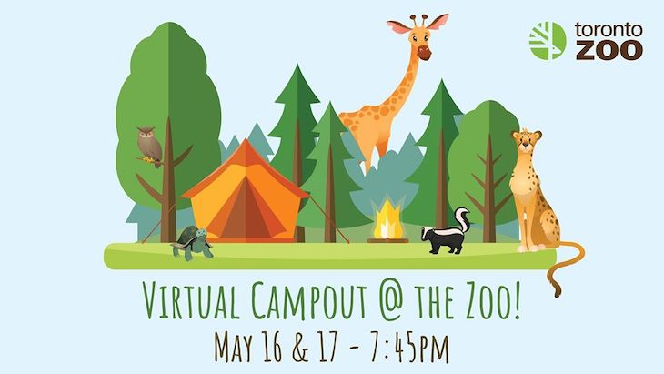 Event: Toronto Zoo Virtual Campout