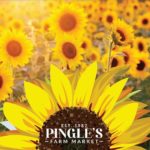 Events: The Sunflower Experience