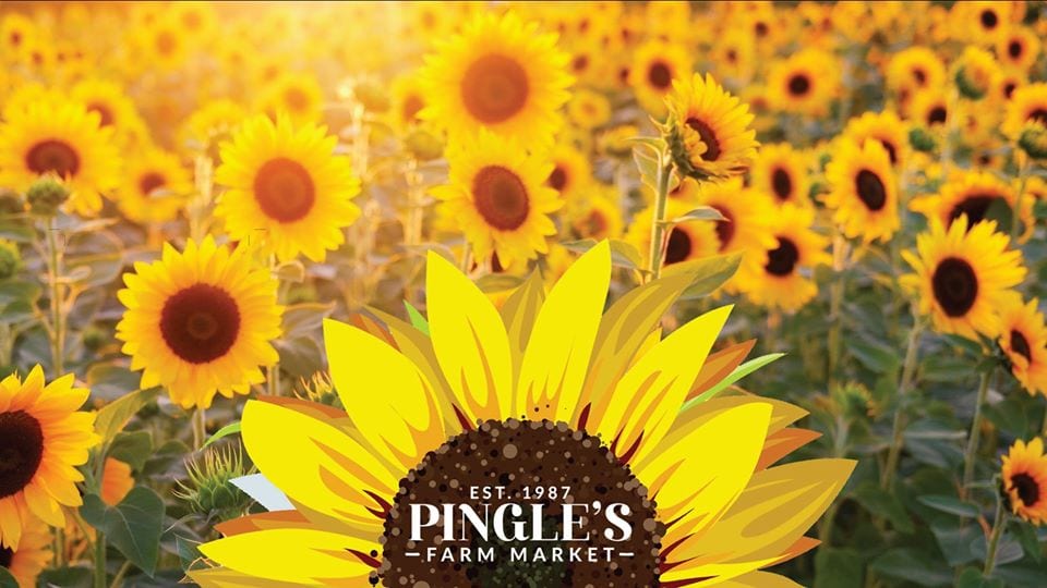 Events: The Sunflower Experience