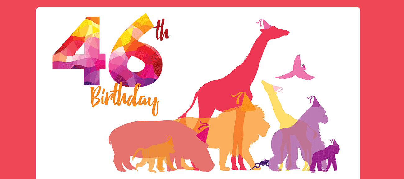 Toronto Zoo Virtual Birthday Party