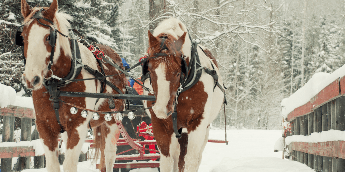 How To Throw A Covid Safe Winter Party For Kids Help We Ve Got Kids