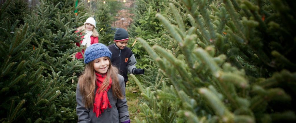two children and mother walk through Christmas tree farm