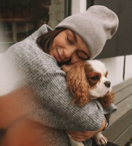 cavalier king charles spaniel