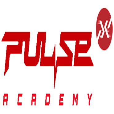 Pulse Martial Arts Academy